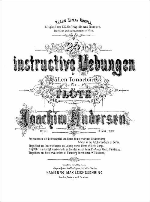 24-instructive-Uebungen.Op.30-1—12-长笛五线谱|长笛谱