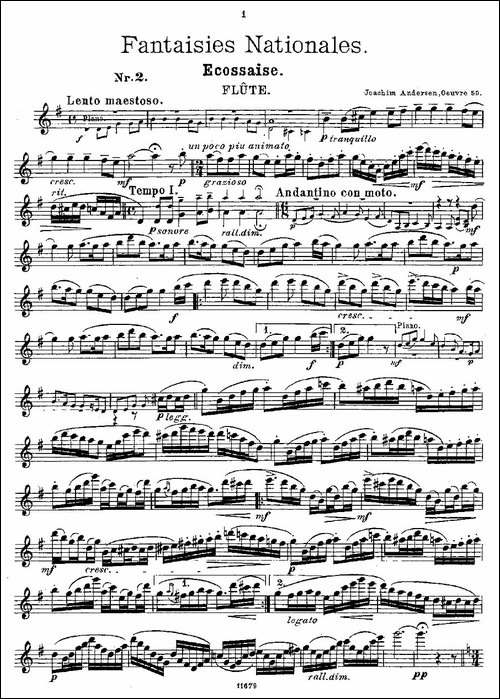 Fantaisies-nationales.-Op.-59,-2.--长笛五线谱|长笛谱