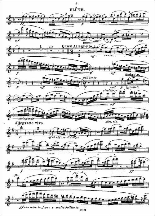 Fantaisies-nationales.-Op.-59,-4.--长笛五线谱|长笛谱