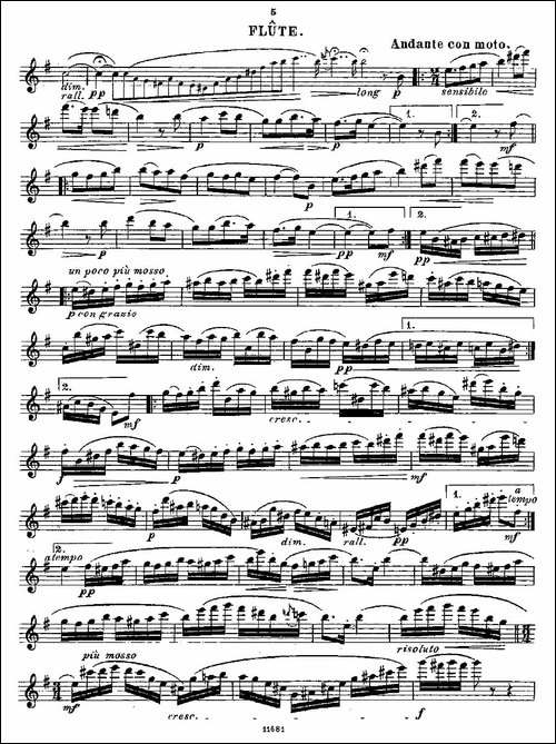 Fantaisies-nationales.-Op.-59,-4.--长笛五线谱|长笛谱