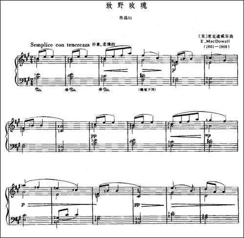致野玫瑰-钢琴谱