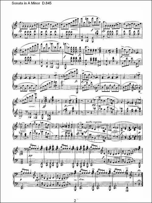 Sonata in A Minor D.845-A小调奏鸣曲 D.845-钢琴谱