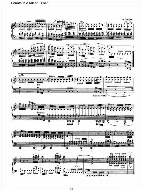 Sonata in A Minor D.845-A小调奏鸣曲 D.845-钢琴谱
