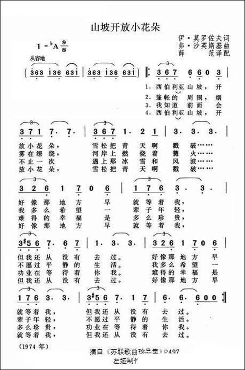 山坡开放小花朵-俄