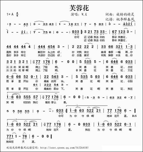 芙蓉花-旋转的精灵-词曲