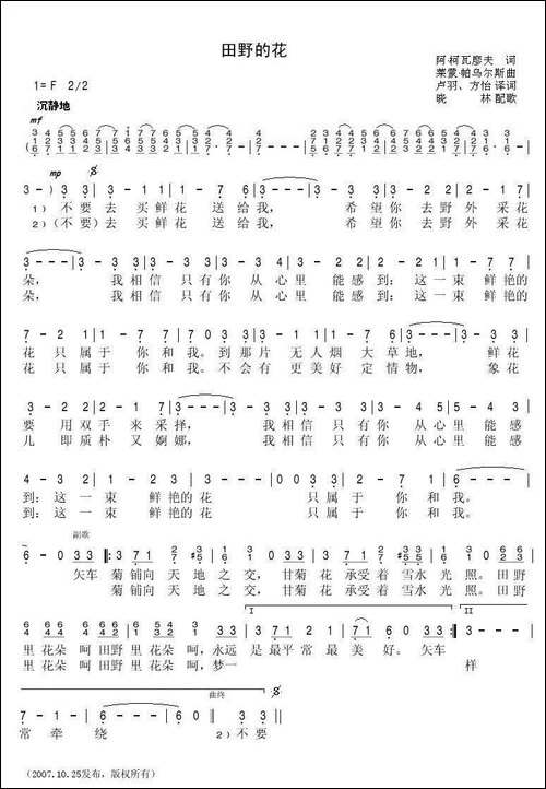 田野的花-前苏联