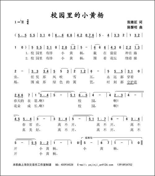 校园里的小黄杨
