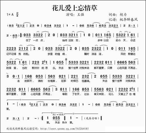 花儿爱上忘情草