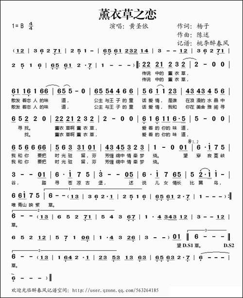 薰衣草之恋