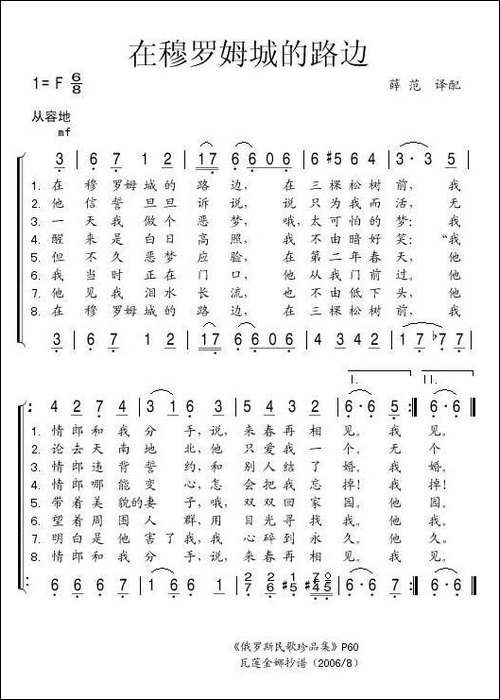 在穆罗姆城的路边-俄