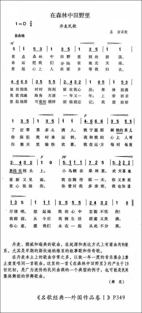 在森林中田野里-丹麦