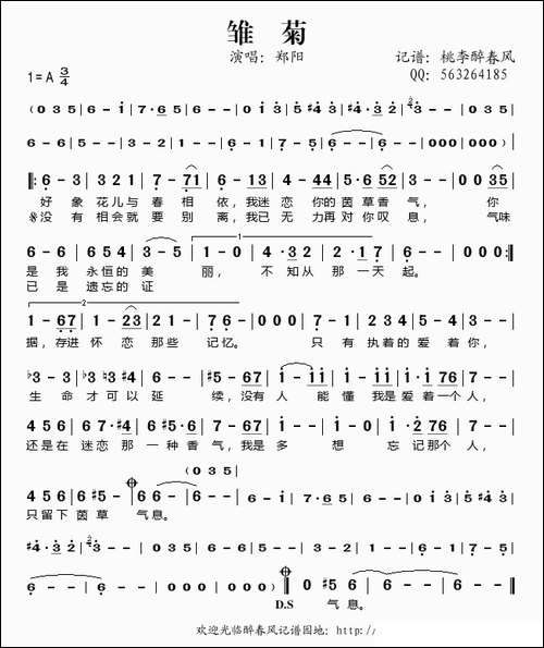 雏菊