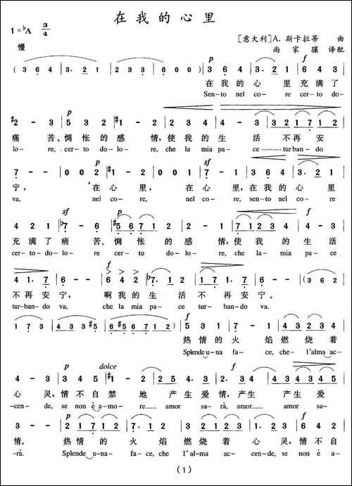 在我的心里-意