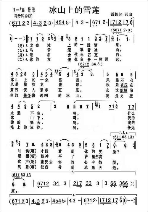 冰山上的雪莲