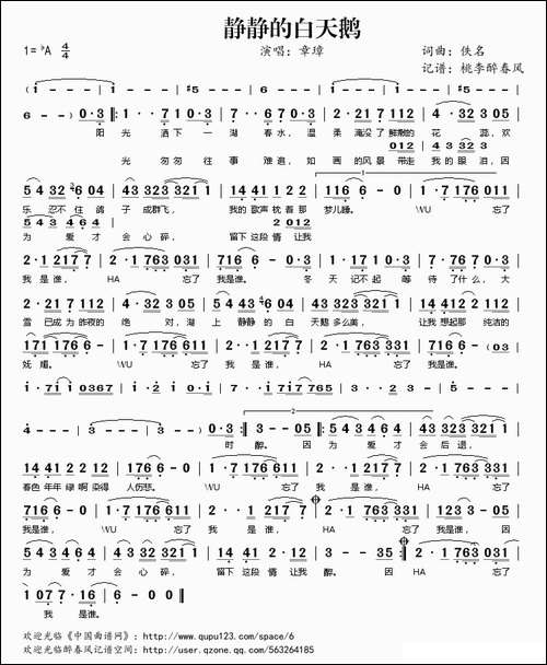 静静的白天鹅