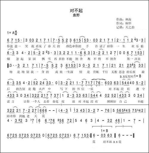 对不起-桐华词-林海曲