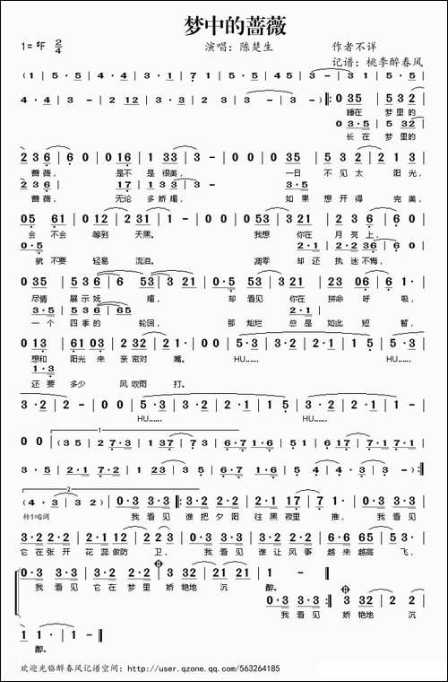 梦中的蔷薇