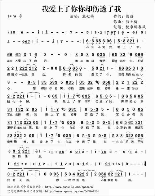 我爱上了你你却伤透了我