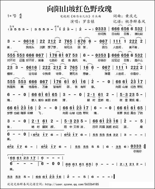 向阳山坡红色野玫瑰-电视剧《难为女儿红》片头曲-