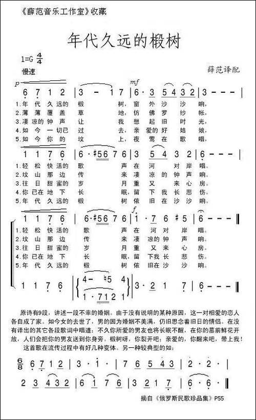 年代久远的椴树
