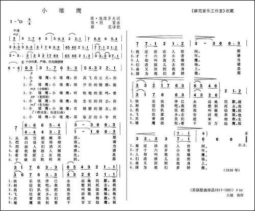 小雄鹰