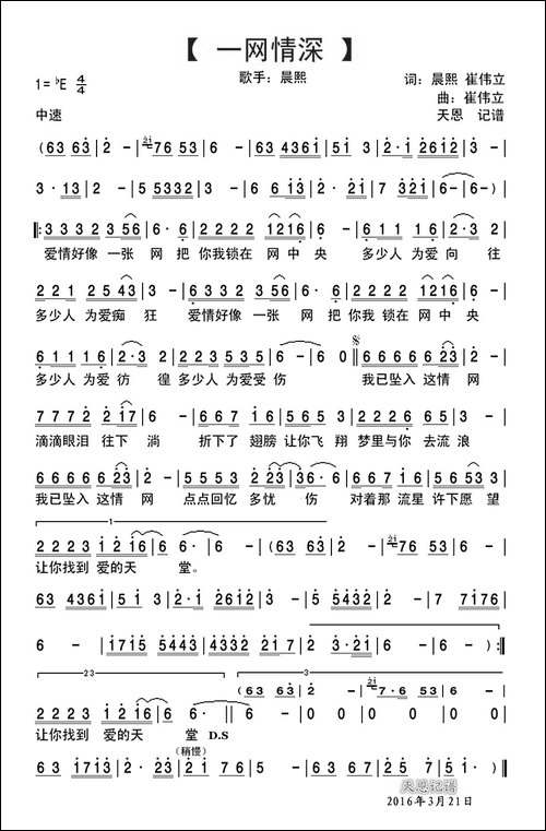 一网情深