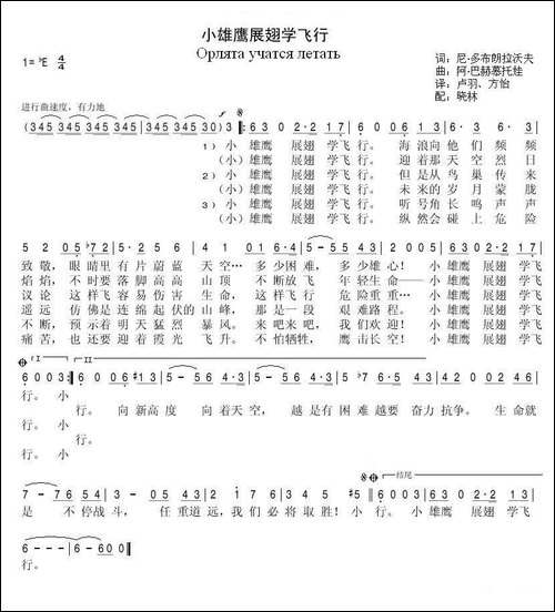 小雄鹰展翅学飞行