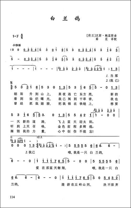--白兰鸽