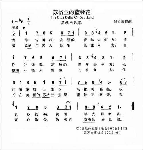 苏格兰的蓝铃花