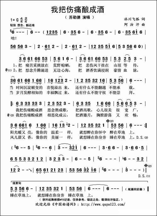 我把伤痛酿成酒