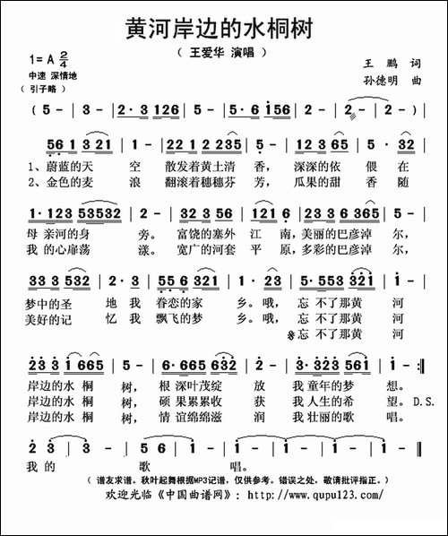 黄河岸边的水桐树