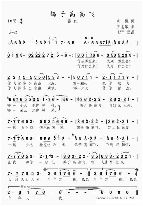 鸽子高高飞