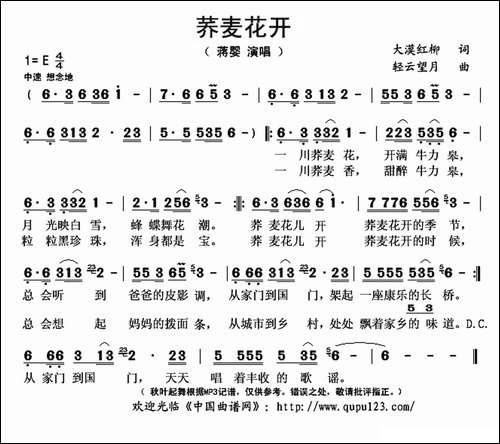 荞麦花开
