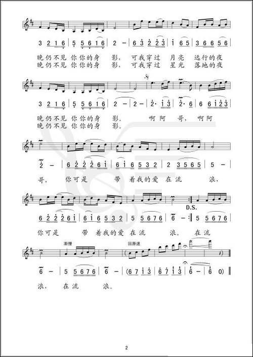 流浪的情人-线、简谱混排版
