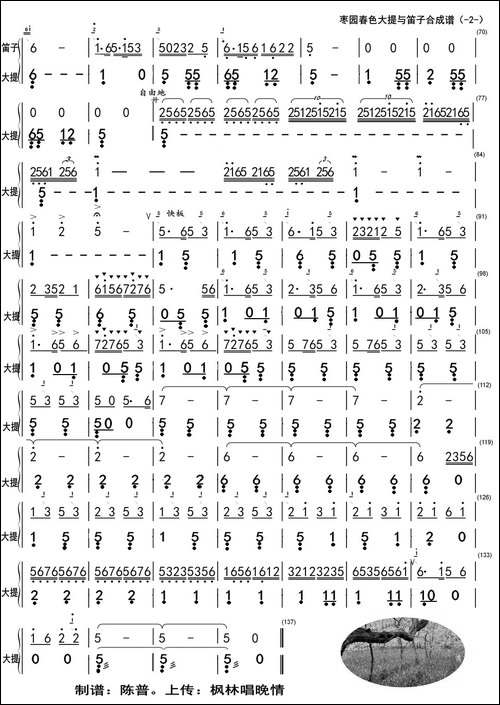 枣园春色-大提与笛子主旋合成谱