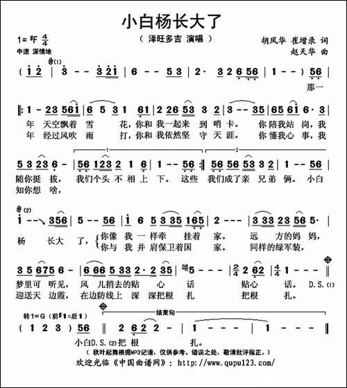 小白杨长大了-