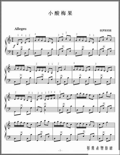 小酸梅果-手风琴曲
