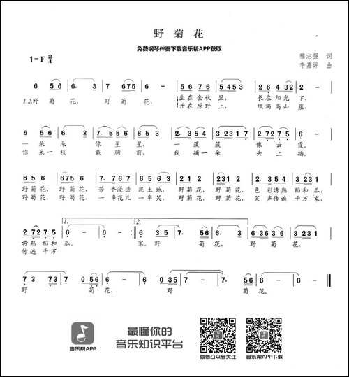 野菊花