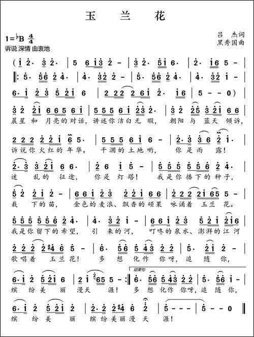 玉兰花