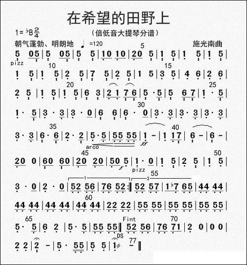 在希望的田野上-贝提琴分谱