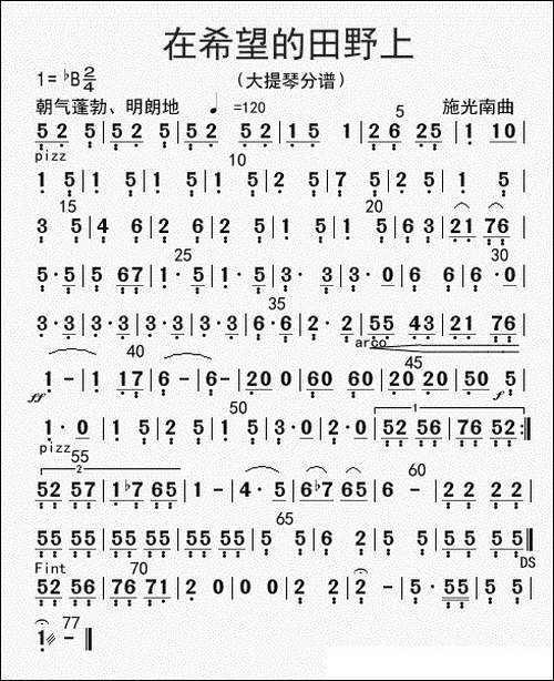 在希望的田野上-大提琴分谱