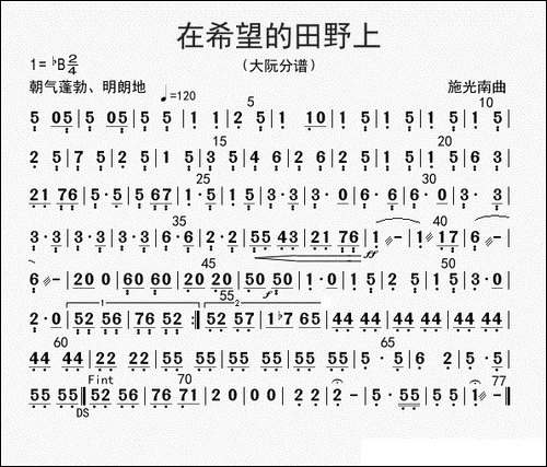 在希望的田野上-大阮分谱