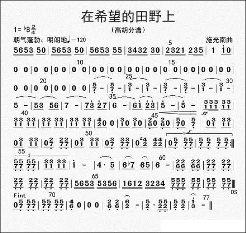 在希望的田野上-高胡分谱