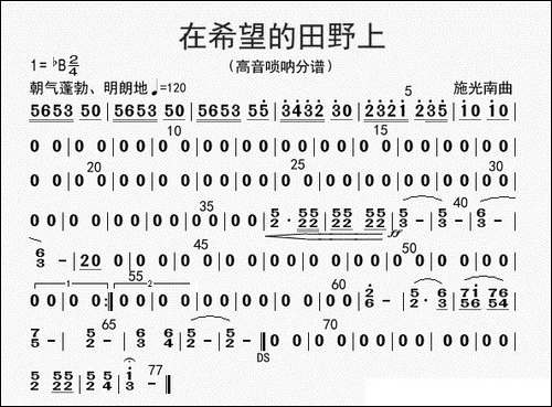 在希望的田野上-高音唢呐分谱