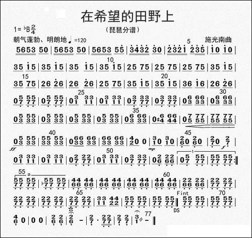 在希望的田野上-琵琶分谱