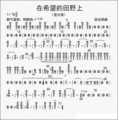 在希望的田野上-笙分谱