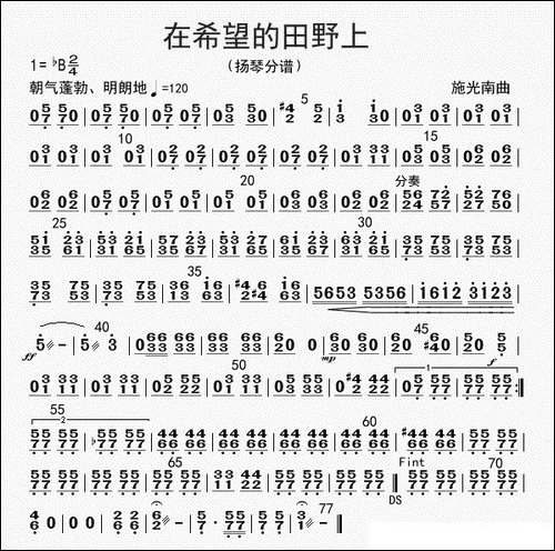 在希望的田野上-扬琴分谱