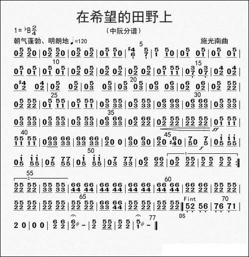 在希望的田野上-中阮分谱