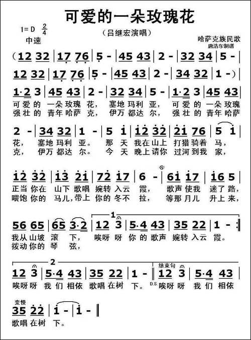 可爱的一朵玫瑰花