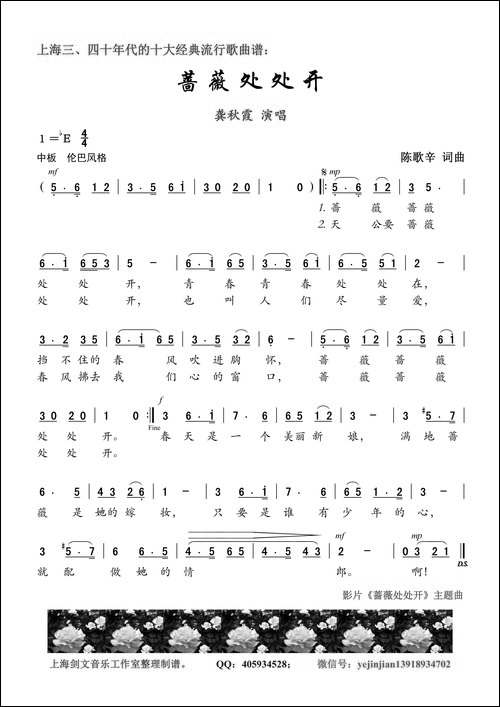 蔷薇处处开